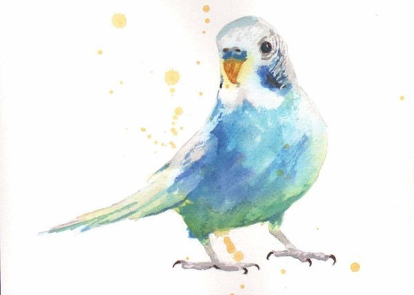 Мастер- класс «Чудо-птица»