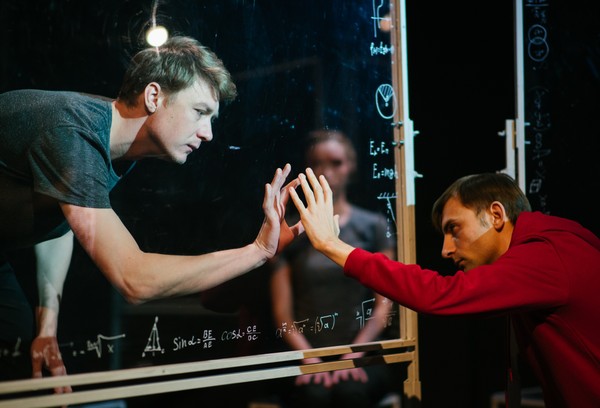 Загадочное ночное убийство собаки