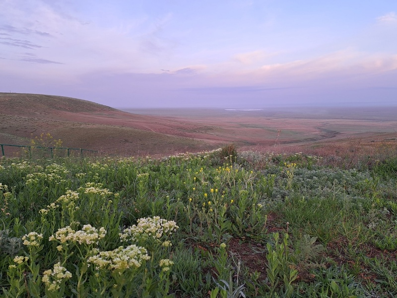 Бесплатная лекция по Калмыкии