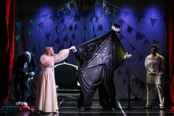 Спектакль «Тень»