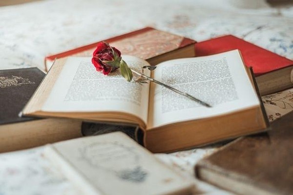 Телемост «Новороссийск литературный»