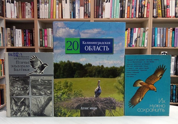 Беседа «На красной странице Калининградской области»