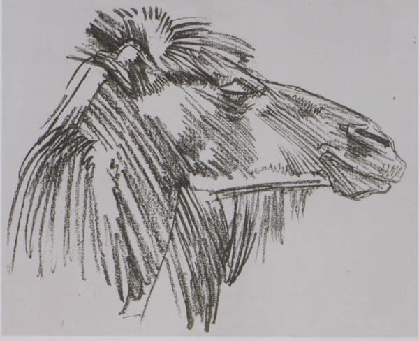 От Москвы до Камчатки