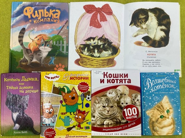 Литературно-познавательная игра «Гуляют кошки по страницам»