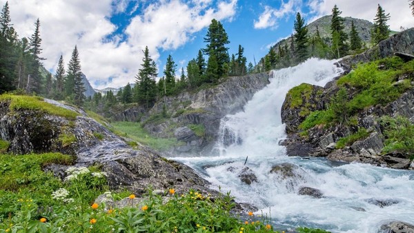 День информации «Тайны дикой природы»