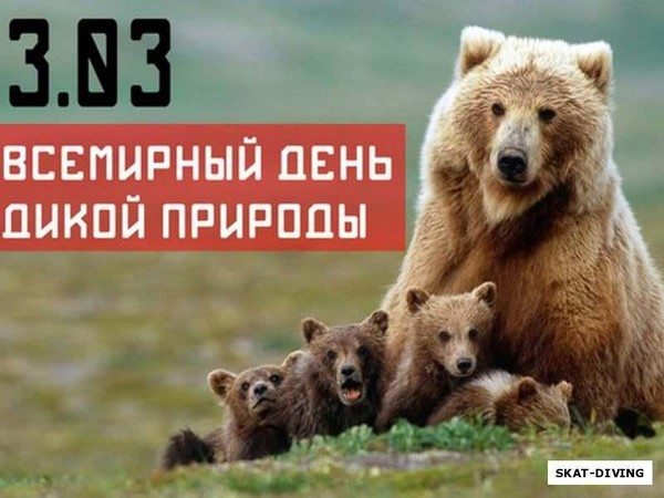 Информ-досье «Они писали о природе… (К Всемирному дню дикой природы)»