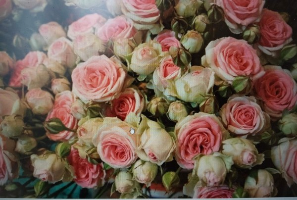 Поем для вас