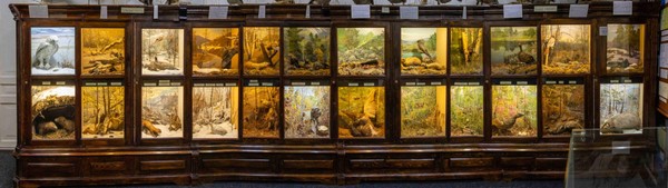 Занятие для школьников «Мое Забайкалье»