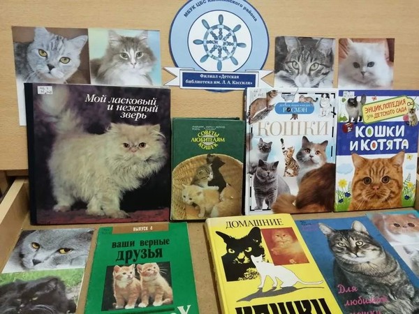 Игровая программа «Усатый полосатый»