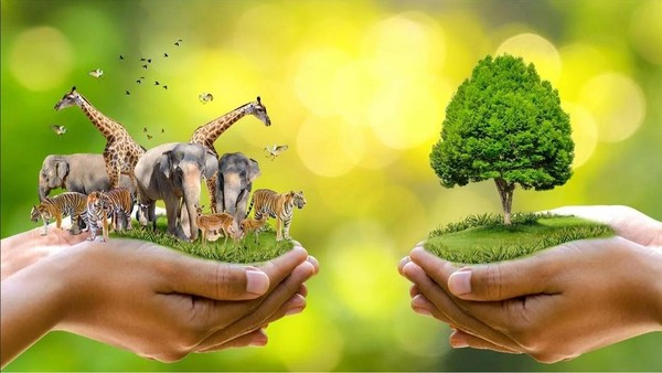 Всемирный день дикой природы