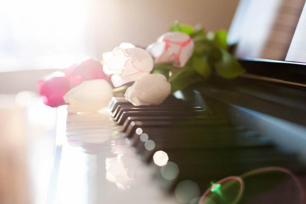 Концерт фортепианной и камерно-вокальной музыки