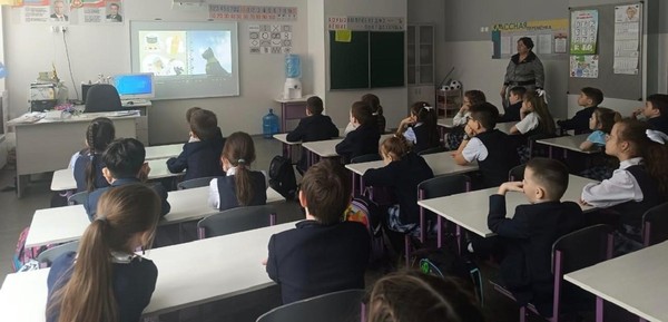 Познавательно–игровая программа «Усатые и полосатые»