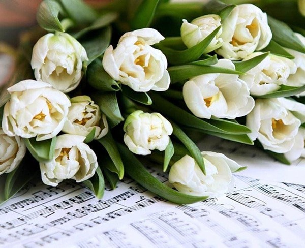 «Музыкальный букет»