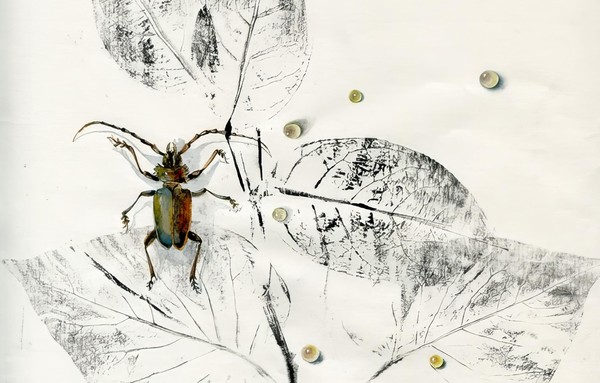 Выставка «Иллюзия/реальность. Василий Руга. Графика из собрания автора»