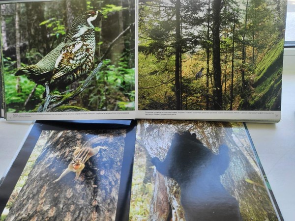 Игра «Угадай. Нарисуй. Покажи»