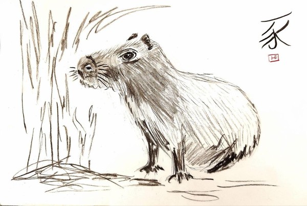 Музейное занятие «Капибара. Китайская техника»