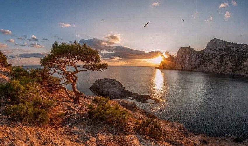 Нетворкинг: инвестиции в недвижимость — Крым и Адыгея