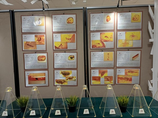 Выставка «Капсула времени»