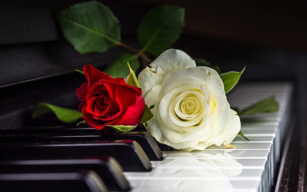 Концерт класса М. Кравченко