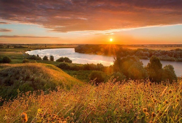 Концерт «Россия. Родина. Любовь»