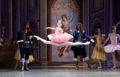 Спящая красавица