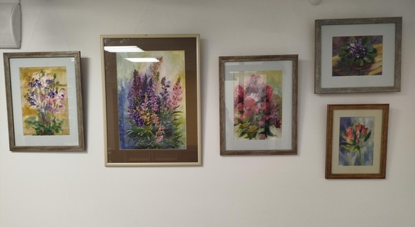 Выставка-экспозиция Ирины Петрухиной «Поэзия цветущих лугов»