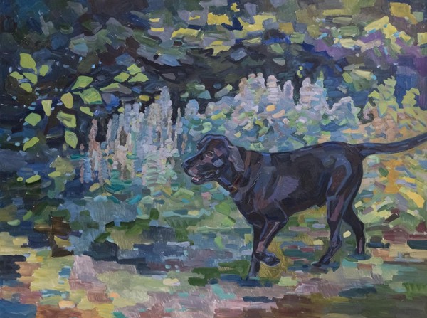 Выставка «Все стороны цвета»