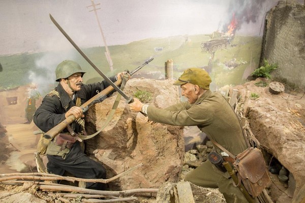 Музейная программа «50-я параллель»