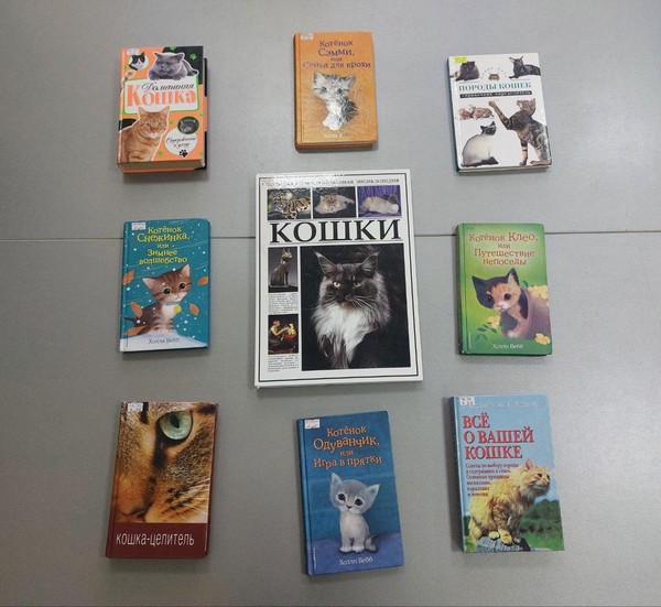 Познавательный час «Тайны кошачьего мира»