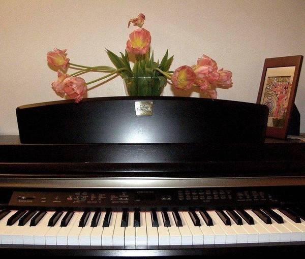 Концерт «Душа полна любви, восторга, вдохновенья»