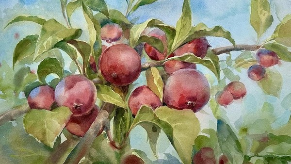 Художественная выставка Татьяны Трушковой «Земля – наш сад»