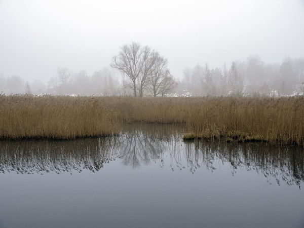 Выставка «Предчувствие тепла»