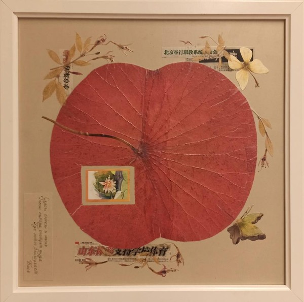 Выставка картин из природных материалов «Волшебное дыхание весны»