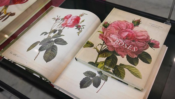 Выставка «Рисунок трав. Ботаническая иллюстрация из фондов РНБ»