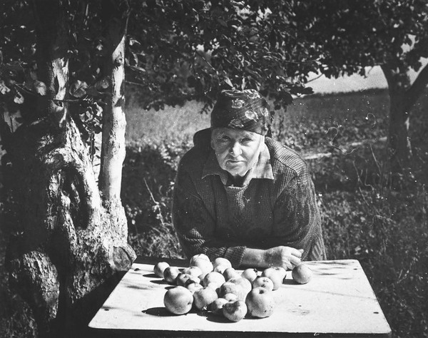 Выставка «Посвящение»