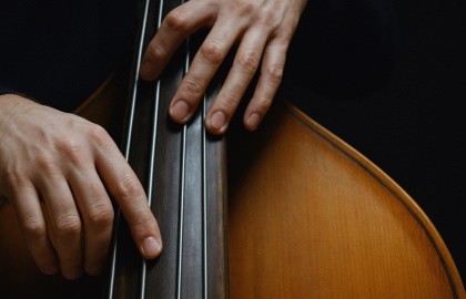 Contrabasso suono vivo (Контрабас - живое звучание)