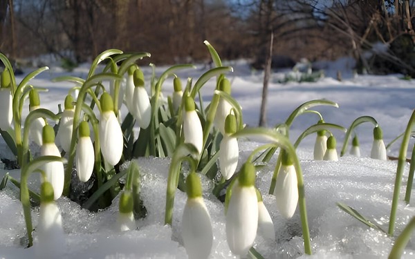 Выставка рисунков «Весна»