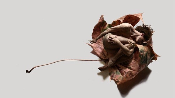 Выставка современного искусства от Rust2D «ГЕРБАРИУМ»