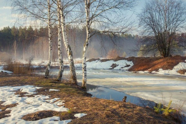 Выставка «Весенний вернисаж»