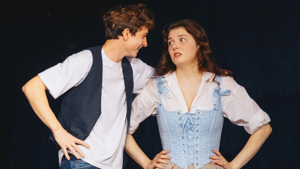 Слуга двух господ