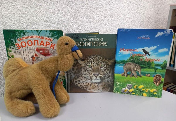 Краеведческий час «Пойдем сегодня в зоопарк»