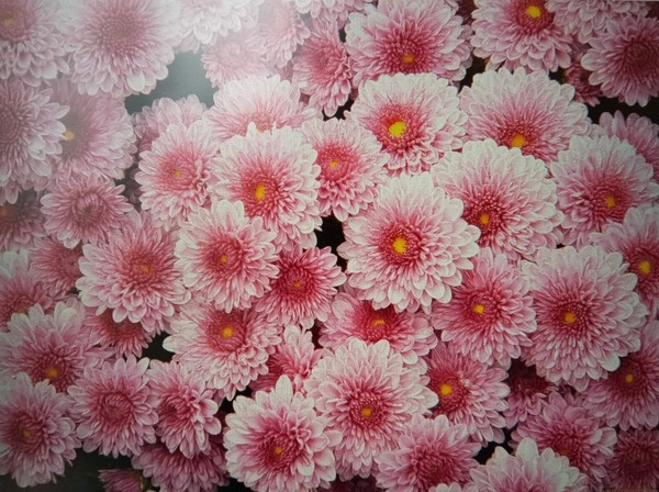 Для милых мама