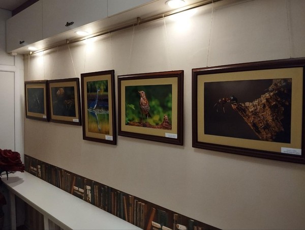 Выставка «Встречи с природой»