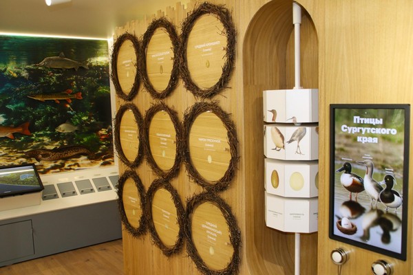 Мультиформатная экскурсия «Открывая тайгу»