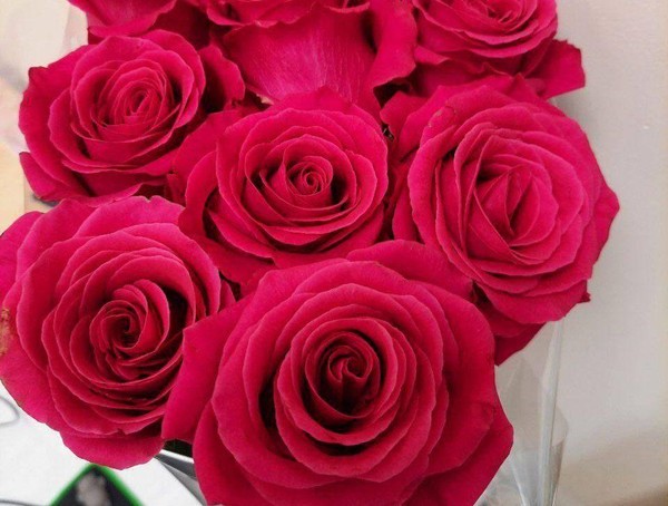 «Восьмое марта – мамин день» – концертная программа для жителей посёлка