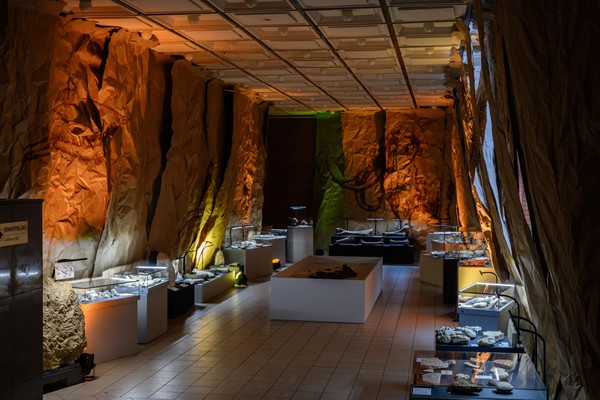 Выставка «Палеоцентр»