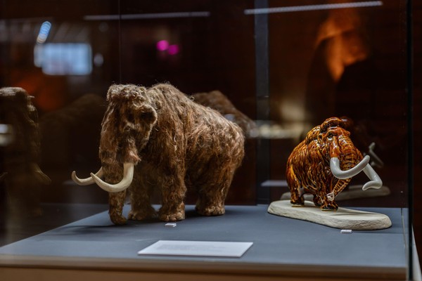 Экскурсия по выставке «Палеоцентр»