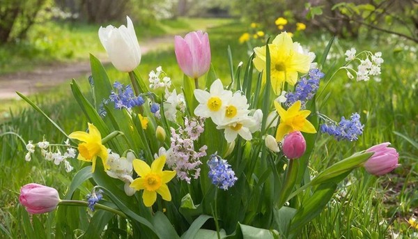 Концерт Сегодня праздник у девчат