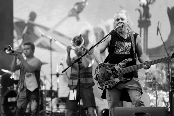 Скворцы Степанова