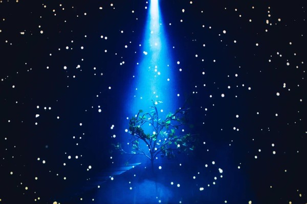 Любовь и голуби